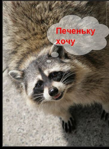 puhovik