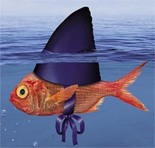 dangerdirk