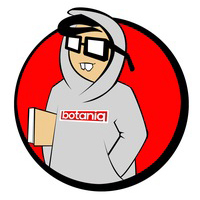 salko2