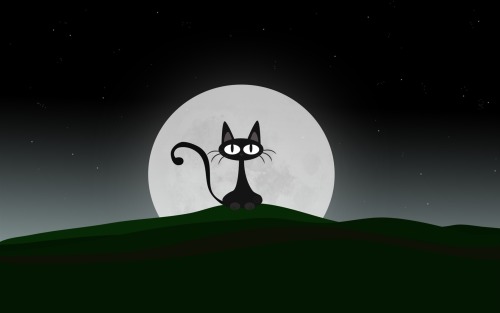 CamboCat