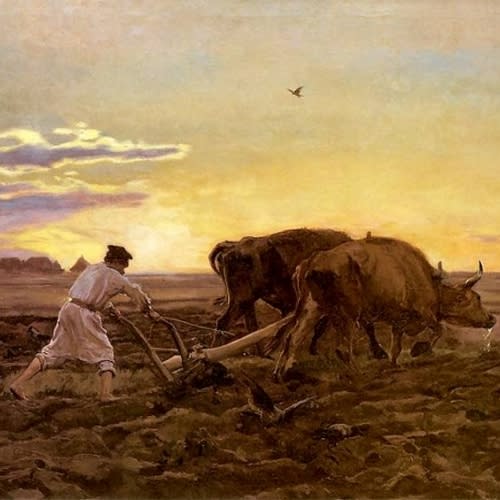 pawel1410