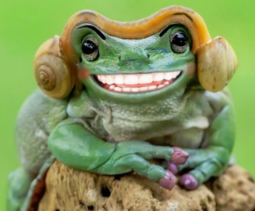 QuakderFrosch