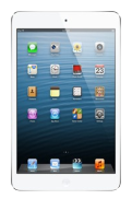 iPad Mini