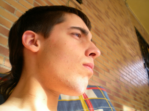 JaviUnited