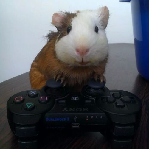 oscarsoto74