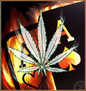 weed694