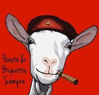 ElPoissardinio