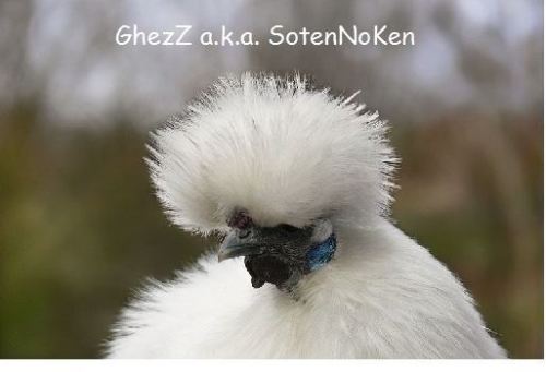 GhezZ