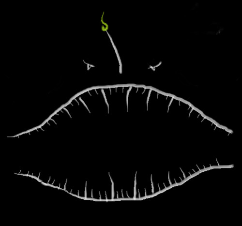 monkfish87