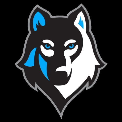 WCamejo