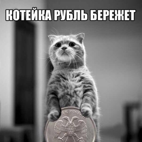 SlavNi