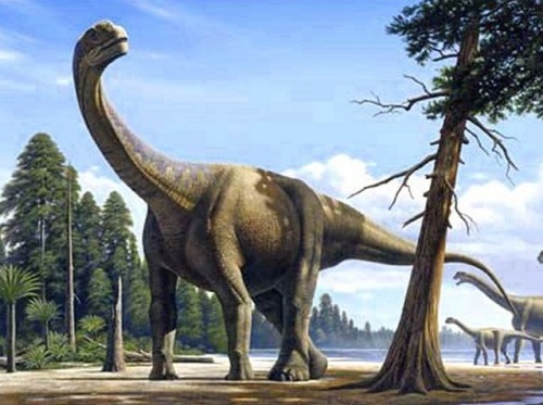 ZooDino