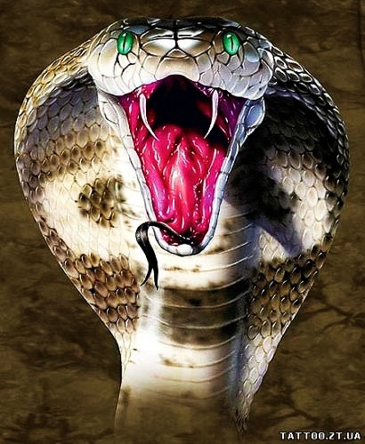 Snous1990