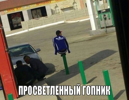 IdiotTim
