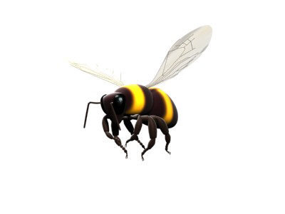BeeSexual