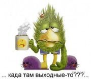 DeSERG