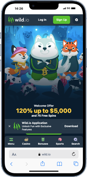 wild io casino homepage