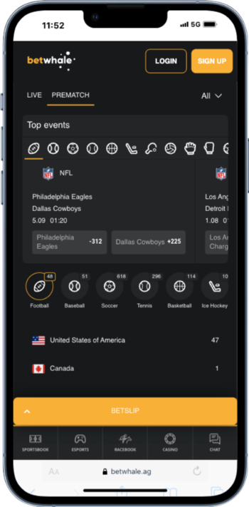 Bet Whale NFL Betting Sites
