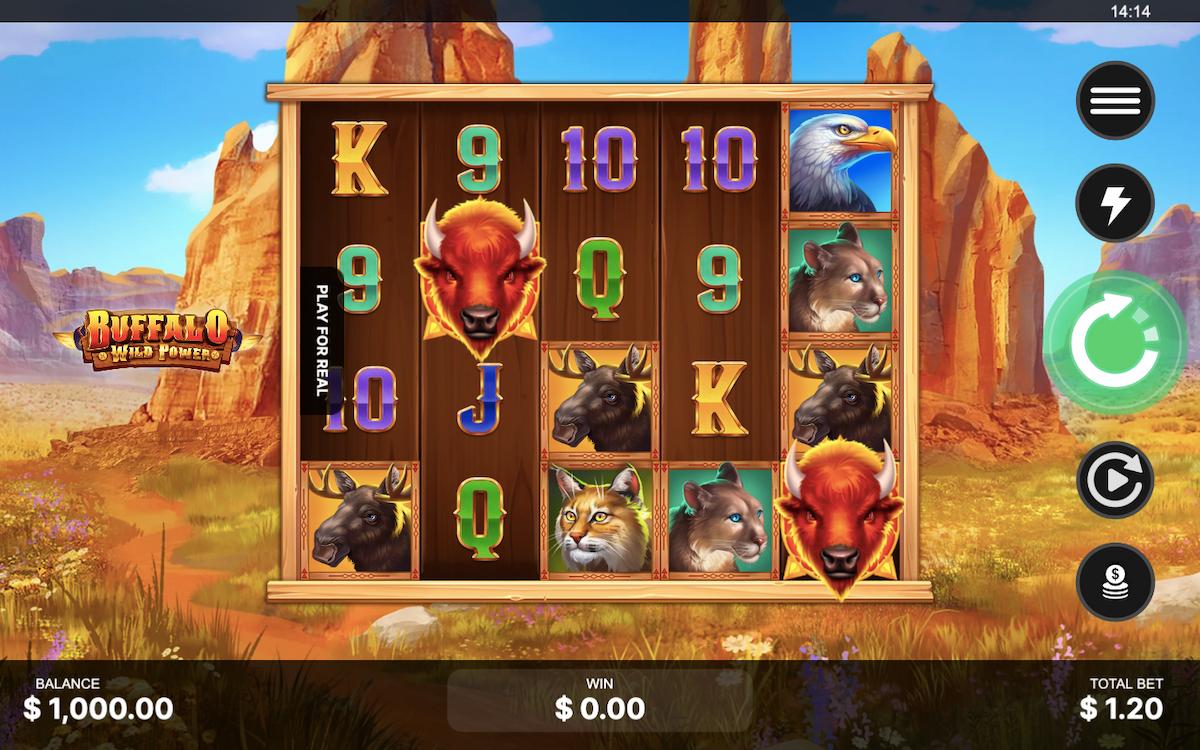 buffalo wild power playnetic