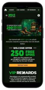 wild casino free spins