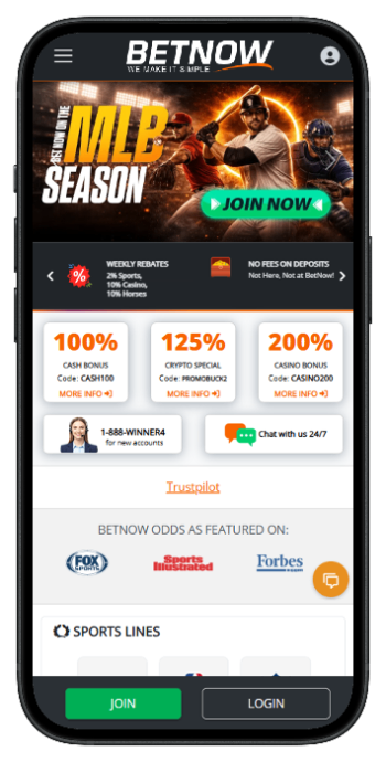 BetNow is one of the fastest payout betting sites.