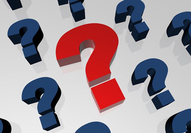 quiz quiz