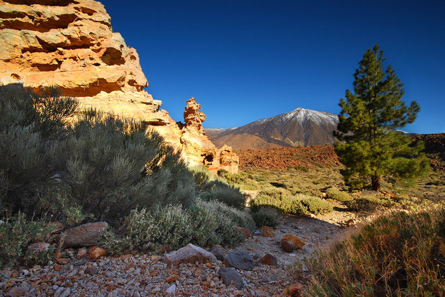 pico el teide widziany z parku