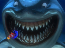 https://www.pokerstrategy.com/wp-content/uploads/cdn-origin/2012/11/07/findingnemobruce.png