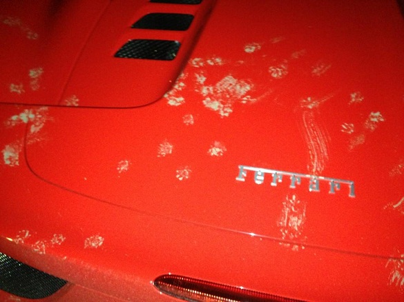 sam's car