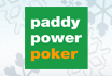 paddy winter