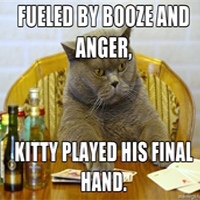 kitty