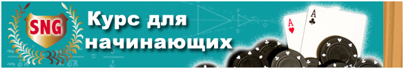SNG beginner's course