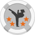 roundhouse kick
