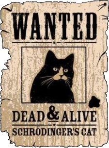 Gatto di Schroedinger