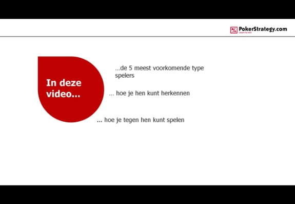 Screenshot: De Vijf Spelerstypes
