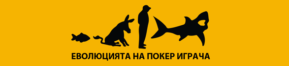 Покер Тренировки BattleHunter