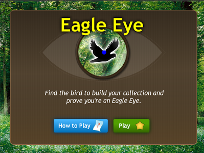 Eagle Eye Eagle Eye