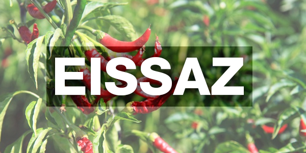 EISSAZ