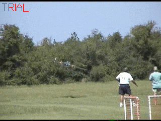 Funny GIF Funny GIF