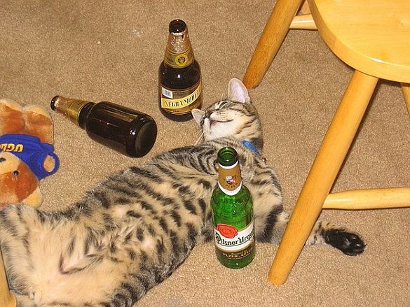partytime