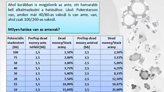 MTT kalauz