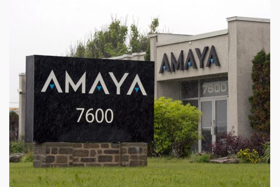 Amaya Amaya