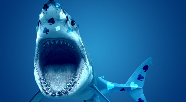 Shark