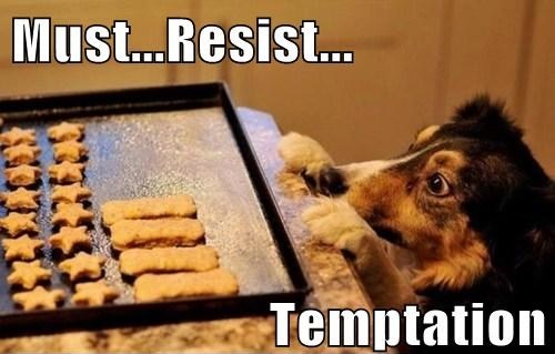 Stay cool Stay cool