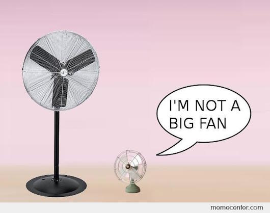 Not a big fan