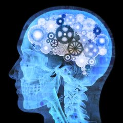 Mindset Poker Mindset Poker