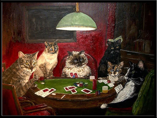 cats jouant au poker