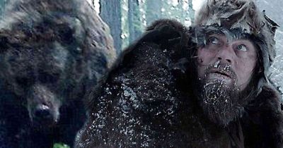 The Revenant The Revenant