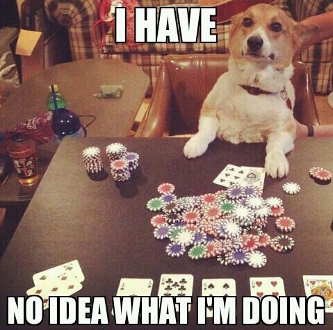 poker meme