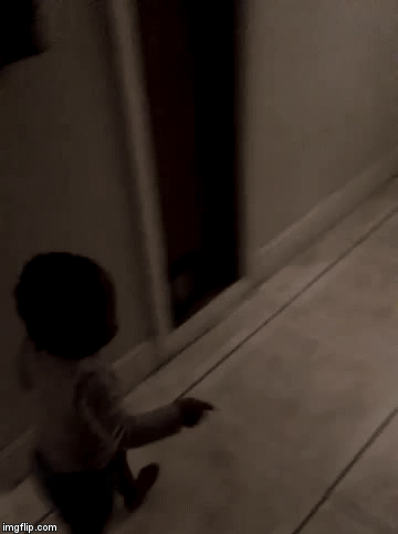 funny GIF